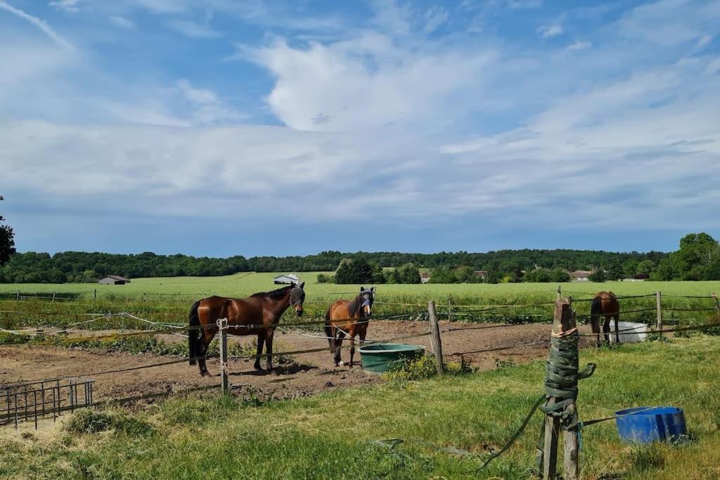 Belle Suite Dans Corps De Ferme - Logement Alicia Villiers-sous-Grez Buitenkant foto