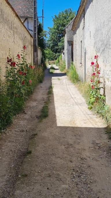 Belle Suite Dans Corps De Ferme - Logement Alicia Villiers-sous-Grez Buitenkant foto